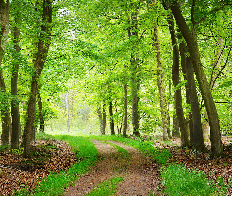 美國(guó)?？?_02_02